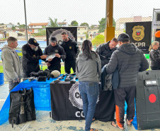 PCPR na Comunidade leva serviços para mais de 750 pessoas em Campo Magro