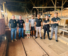 PCPR incinera 50 quilos de drogas em Piraquara 