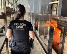 PCPR incinera 50 quilos de drogas em Piraquara 