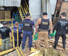 PCPR, PMPR  e Guarda Municipal incineram quatro toneladas de drogas em Irati 