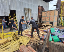 PCPR, PMPR  e Guarda Municipal incineram quatro toneladas de drogas em Irati 