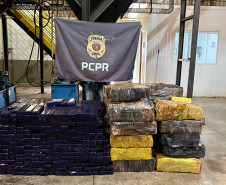 PCPR incinera 1 tonelada de maconha em Cidade Gaúcha