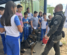 PCPR na Comunidade leva serviços de polícia judiciária para mais de 2,7 mil pessoas em Mauá da Serra e Tamarana