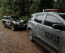 PCPR e PMPR deflagram operação contra o porte ilegal de armas de fogo em Dois Vizinhos 