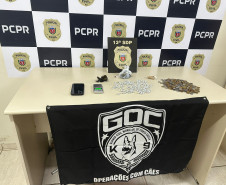 PCPR prende mulher por tráfico de drogas em Ponta Grossa