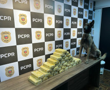 PCPR apreende 41,2 quilos de crack em Ponta Grossa 