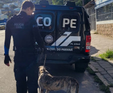 Com 104 agentes e muita tecnologia, forças de segurança do PR seguem apoiando o RS