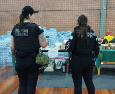 Com 104 agentes e muita tecnologia, forças de segurança do PR seguem apoiando o RS