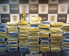 PCPR apreende 365 quilos de maconha na RMC