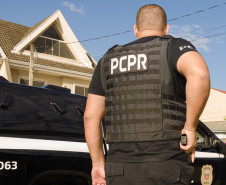 PCPR prende mulher por tráfico de drogas e recupera veículo furtado em Curitiba
