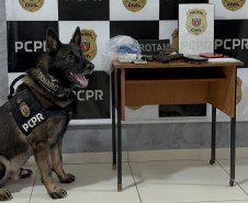 PCPR e PMPR prendem quatro pessoas durante operação contra tráfico de drogas em Engenheiro Beltrão