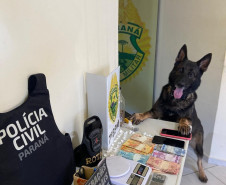 PCPR e PMPR prendem homem em flagrante por tráfico de drogas em Nova Olímpia