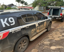 PCPR prende duas pessoas em flagrante por tráfico de drogas em Dois Vizinhos
