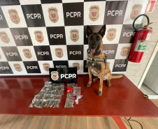 PCPR prende duas pessoas em flagrante por tráfico de drogas em Dois Vizinhos