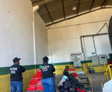 PCPR incinera uma tonelada de maconha em Icaraíma