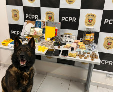 PCPR prende casal por tráfico, contrabando e posse de arma de fogo em Almirante Tamandaré 