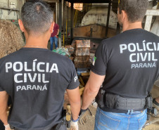 PCPR incinera 4,5 toneladas de drogas em Ponta Grossa