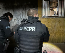 PCPR e PMPR prendem 95 pessoas em megaoperação contra o tráfico de drogas em Palmas