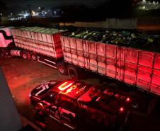 PCPR apreende 6,39 toneladas de cocaína no primeiro semestre, 129% a mais que o mesmo período do ano passado