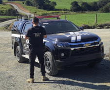 PCPR prende dois homens por posse ilegal de arma de fogo em Irati