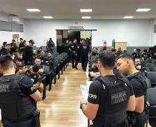 PCPR prende nove integrantes de organização criminosa ligada ao tráfico de drogas e homicídios em Ortigueira