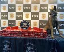 PCPR, PMPR e GM apreendem 211 quilos de maconha em São Luiz do Purunã