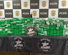 PCPR, PMPR e GM apreendem 211 quilos de maconha em São Luiz do Purunã
