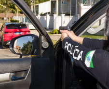 PCPR, PMPR e GM apreendem 211 quilos de maconha em São Luiz do Purunã