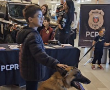 PCPR atende 1,2 mil pessoas em ação de conscientização e prevenção ao uso de drogas em Curitiba