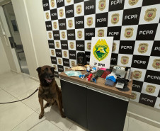 PCPR e PMPR prendem casal por tráfico de drogas e associação para o tráfico em Chopinzinho