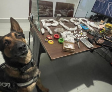 PCPR e PMPR prendem quatro homens por tráfico de drogas e outros crimes em Araruna