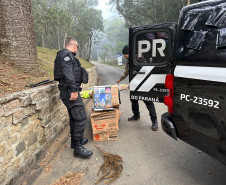 PCPR prende quatro por soltura de balões que chegavam a custar mais de R$ 20 mil