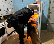 PCPR deflagra operação contra tráfico de drogas e comércio ilegal de armas em Teixeira Soares