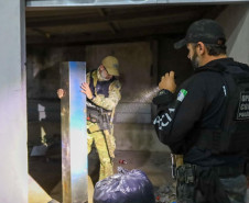 PCPR e PMPR apreendem 1,1 tonelada de maconha durante operação em Cascavel