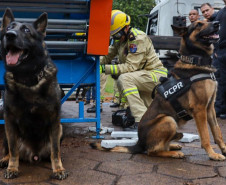 PCPR e PMPR apreendem 1,1 tonelada de maconha durante operação em Cascavel