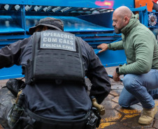 PCPR e PMPR apreendem 1,1 tonelada de maconha durante operação em Cascavel