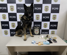 PCPR prende mulher em flagrante por tráfico de drogas em Ponta Grossa