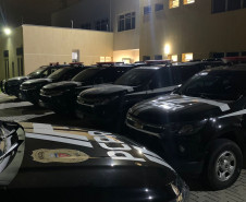 PCPR prende cinco pessoas investigadas por envolvimento com homicídio ocorrido em Araucária