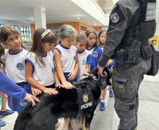 PCPR comemora 13 anos de atuação do Núcleo de Operações com Cães 
