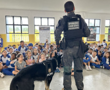 PCPR comemora 13 anos de atuação do Núcleo de Operações com Cães 
