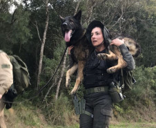 Policiais civis se formam no curso Condutores de Cães de Guerra da Força Aérea Brasileira