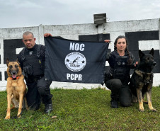 Policiais civis se formam no curso Condutores de Cães de Guerra da Força Aérea Brasileira