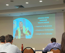 Delegado da PCPR ministra curso de combate ao tráfico de animais silvestres em Salvador