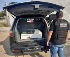 PCPR apreende seis máquinas caça-níqueis durante operação deflagrada em Fazenda Rio Grande