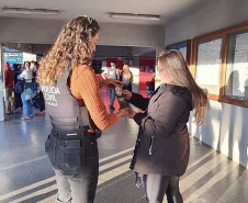 PCPR prende 848 pessoas em operação nacional de combate à violência contra a mulher