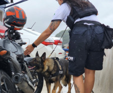 PCPR comemora 13 anos de atuação do Núcleo de Operações com Cães 
