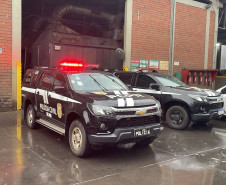 PCPR incinera 1,3 toneladas de maconha em Terra Boa