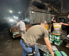 PCPR incinera 1,3 toneladas de maconha em Terra Boa