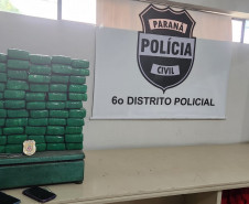 PCPR apreende 52 quilos de maconha e prende duas mulheres em flagrante em Curitiba