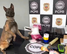 PCPR e PCSC prendem mulher em flagrante por tráfico de drogas em Curitiba